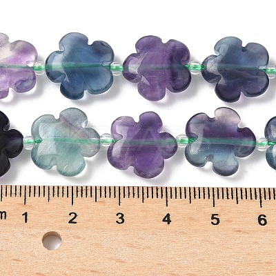 Natural Flower Rainbow Fluorite Beads Strands G-L241B-09-01-1
