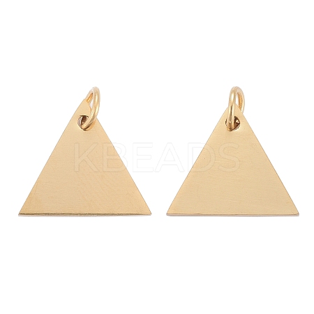 304 Stainless Steel Stamping Blank Tag Charms LS-STAS-I311-29G-1