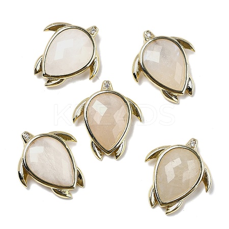 Natural Moonstone Pendants G-U019-02G-03-1