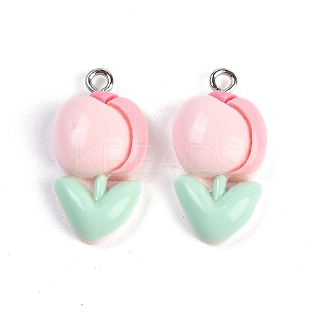 Resin Pendants LS-RESI-I061-04A-1