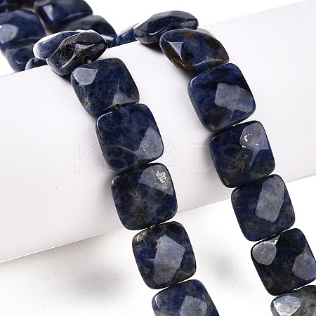 Natural Sodalite Beads Strands G-T138-169-1
