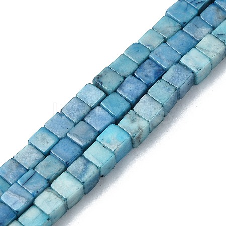 Natural Howlite Beads Strands G-C135-E03-01-1