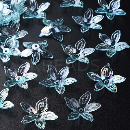 Transparent Acrylic Beads MACR-S373-102-C05-1
