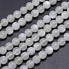 Natural White Moonstone Round Bead Strands G-M262-6mm-04-1