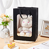 Paper Visible Window Gift Bags with Rope Handles ABAG-WH0040-14A-5