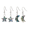 Natural Abalone Shell/Paua Shell Dangle Earring EJEW-JE05915-1