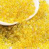 Glass Seed Beads SEED-A033-02A-03-1
