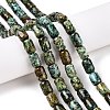 Natural African Turquoise(Jasper) Beads Strands G-G980-33A-2