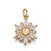 Brass Micro Pave Cubic Zirconia Pendants ZIRC-F091-02-G-2