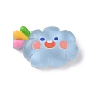 Translucent Cloud Resin Cabochons RESI-K019-03E-1