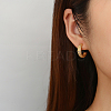 304 Stainless Steel Rhinestone Arch Stud Earrings GH0398-1-3