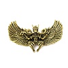Roc Bird Alloy Brooches LS-JEWB-S040-03-AG-1