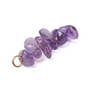 10Pcs 5 Colors 12 Constellation Natural Citrine & Golden Sheen Obsidian & Rose Quartz & South Red Agate & Amethyst Pendants PALLOY-JF02839-09-5