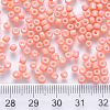 6/0 Baking Paint Glass Round Seed Beads SEED-S036-01C-17-3