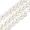 Rainbow Plated Shell Pearl Bead Strands BSHE-L025-02-6mm-1
