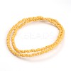 Frosted Glass Bead Strands GLAA-J063-B03-2