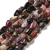 Natural Multicolor Tourmaline Beads Strands G-L608-A01-01-1