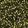 Glass Seed Beads SEED-S042-04B-25-3