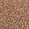 MIYUKI Round Rocailles Beads SEED-G007-RR3521-2