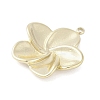 304 Stainless Steel Pendants STAS-L022-420G-2