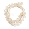Natural Rainbow Moonstone Beads Strands G-G118-A01-01-3
