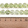 Crackle Transparent Glass Beads Strands GLAA-N063-10mm-07-2
