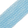 Baking Paint Glass Beads Strands LS-DGLA-Q023-10mm-DB46-2