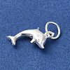 925 Sterling Silver Dolphin Charms STER-K180-09S-2