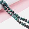 Natural Chrysocolla Beads Strands G-I318-09D-3