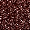 MIYUKI Delica Beads SEED-MY11-DB2160-3