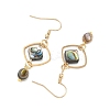 Natural Paua Shell & Stainless Steel Dangle Earrings for Women EJEW-JE07076-02-4