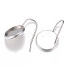 Non-Tarnish 304 Stainless Steel Earring Hooks LS-X-STAS-G071-47P-1