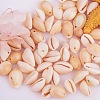 Natural Cowrie Shell Beads BSHE-PH0001-06-3