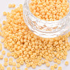 8/0 Opaque Glass Seed Beads SEED-S048-N-018-1