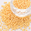8/0 Opaque Glass Seed Beads SEED-S048-N-018-1