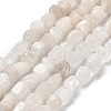 Natural Rainbow Moonstone Beads Strands G-P497-01E-69A-2