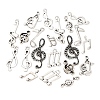 20Pcs 10 Styles Tibetan Style Alloy Pendants Set FIND-C069-02AS-1
