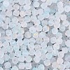 Frosted Glass Seed Beads SEED-N012-01B-3