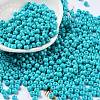 Baking Paint Glass Seed Beads SEED-H002-I-A507-1