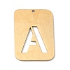 Ion Plating(IP) 304 Stainless Steel Pendants STAS-K216-49A-G-1