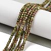 Natural Unakite Beads Strands G-H042-B25-01-2