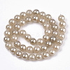 Natural Dyed Agate Beads Strands G-N326-12B-01-2