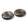Natural Glaucophane Pendants G-P532-01A-05-2