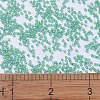 MIYUKI Delica Beads SEED-MY11-DB2053-4