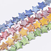 Freshwater Shell Beads Strands SHEL-S276-51-1