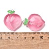 Fruit Theme Opaque Resin Imitation Food Pendants RE-CBA49A8-04E-3
