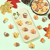 30Pcs 6 Styles Autumn Theme Opaque Resin Cabochons CRES-YW0002-81-4