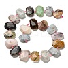 Natural Crazy Agate/Green Opal/Prehnite/Tree Agate Beads Strands G-H078-B24-01-3