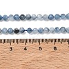 Natural Devil Blue Aquamarine Beads Strands G-P629-A02-03-5