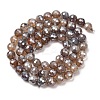 Electroplated Natural Agate Beads Strands G-B191-A07-6mm-12-4